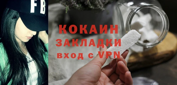 твердый Иннополис