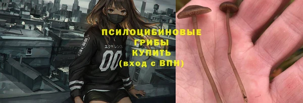 спиды Горно-Алтайск