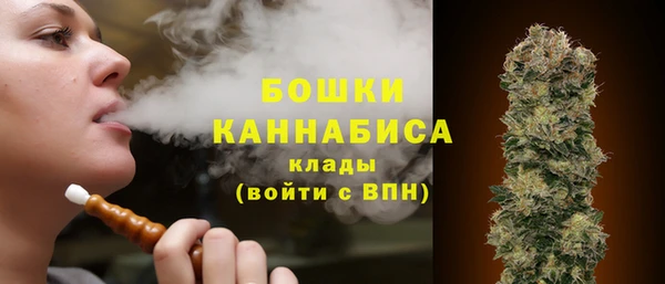 PSILOCYBIN Инсар