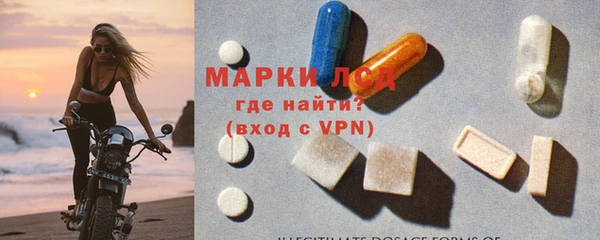 PSILOCYBIN Инсар