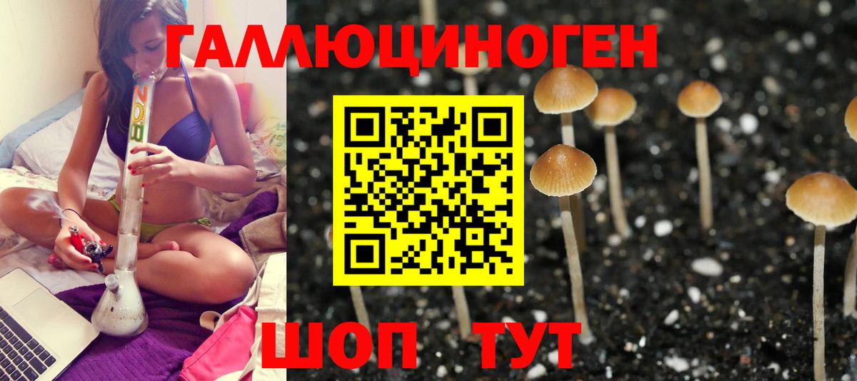 Псилоцибиновые грибы ЛСД Севастополь