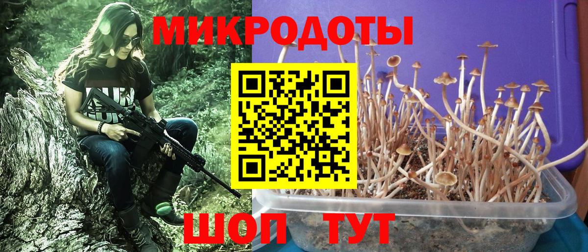 наркошоп  Севастополь  Псилоцибиновые грибы MAGIC MUSHROOMS 